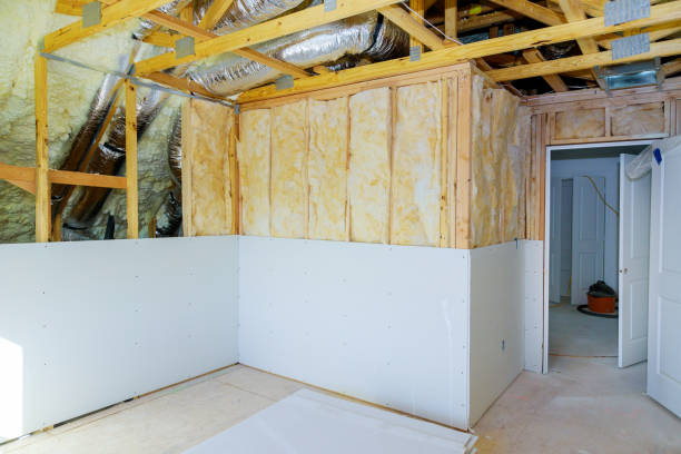 Best Cellulose Insulation in Terrell Hills, TX