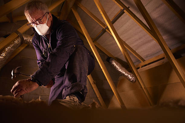 Best Insulation Maintenance and Repair in Terrell Hills, TX