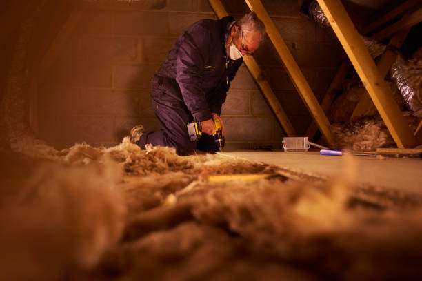Best Specialized Insulation Services in Terrell Hills, TX